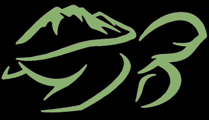 Illustration stylisee d'un poisson et de vagues en vert sur fond noir
