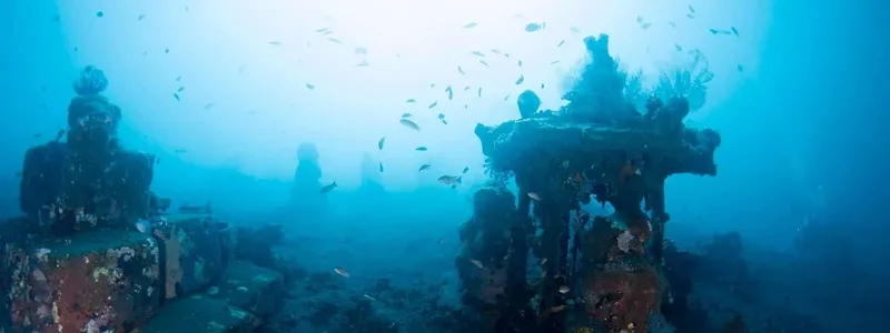 Épave sous-marine colonisée par la vie marine et entourée de poissons