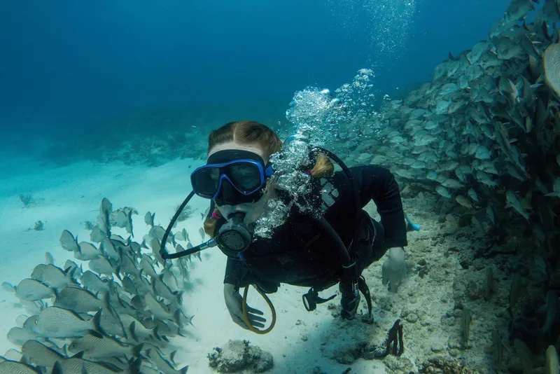 Plongeuse entourée de nombreux poissons dans un environnement sous-marin clair