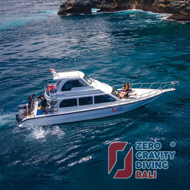 Bateau de plongée blanc et bleu en mer avec des passagers