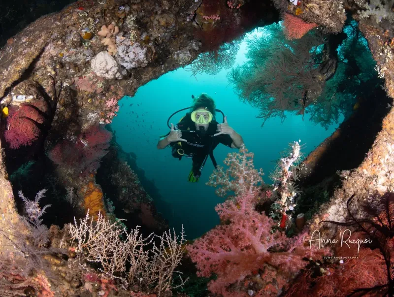 Plongeur explorant une grotte sous-marine avec coraux et lumière filtrée