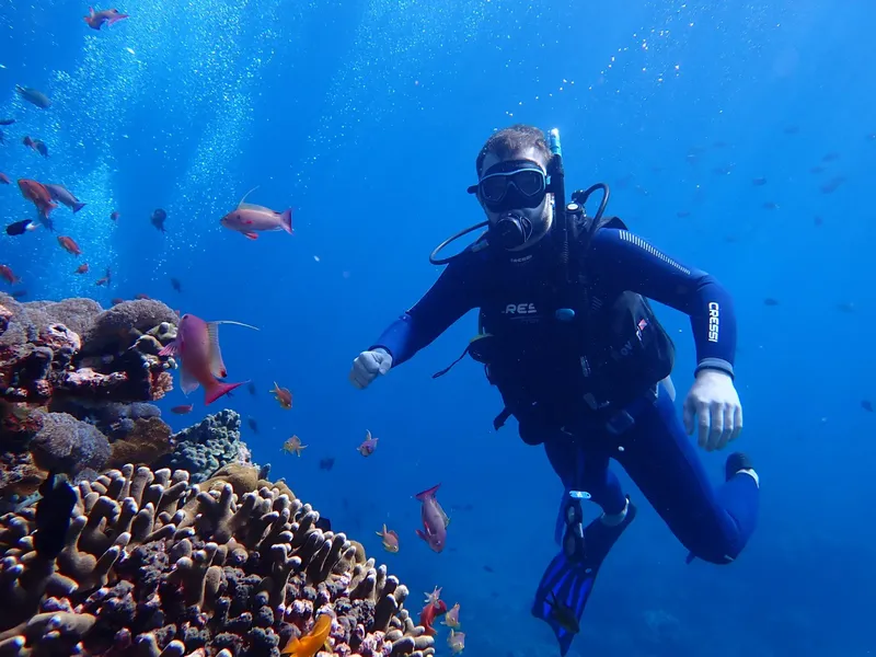 Plongeur explore un récif corallien avec de nombreux poissons colorés