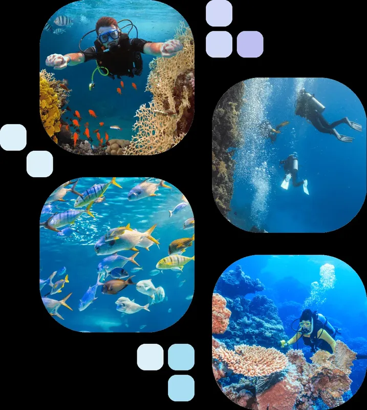 Plongeurs et poissons colorés explorent un récif corallien en mer