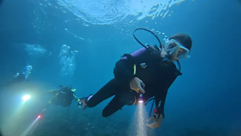 Deux plongeurs explorent les fonds marins avec leurs lampes torches