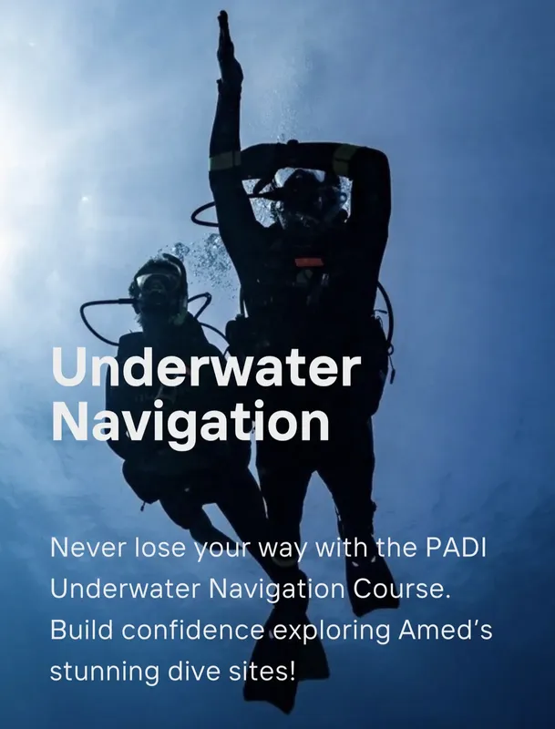 Plongeur sous l'eau, cours de navigation PADI, exploration des sites