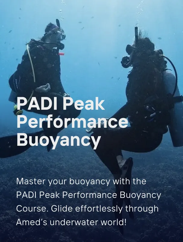Deux plongeurs en pleine eau avec du texte promotionnel PADI