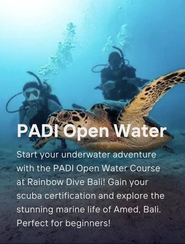 Plongeurs et tortue de mer dans l'eau bleue de Bali