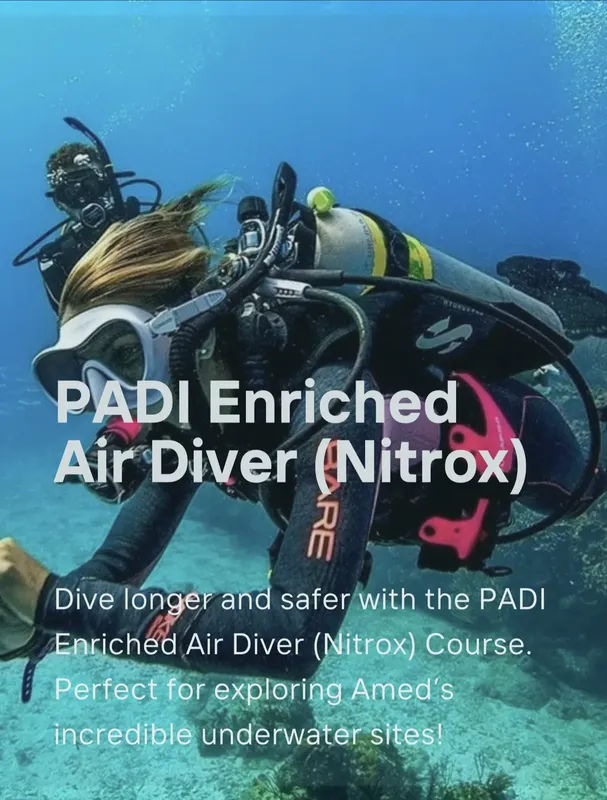 Plongeuse avec équipement complet, promotion cours Nitrox PADI, milieu aquatique