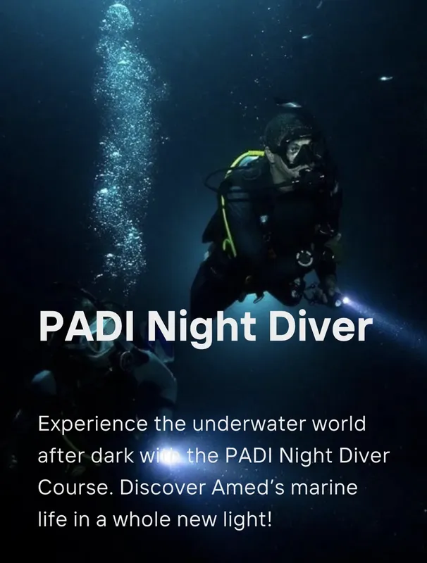 Plongeur nocturne avec équipement complet dans une eau sombre et profonde