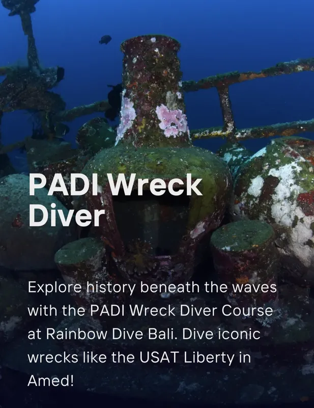 Epave sous-marine colonisée par la vie marine, cours PADI Wreck Diver