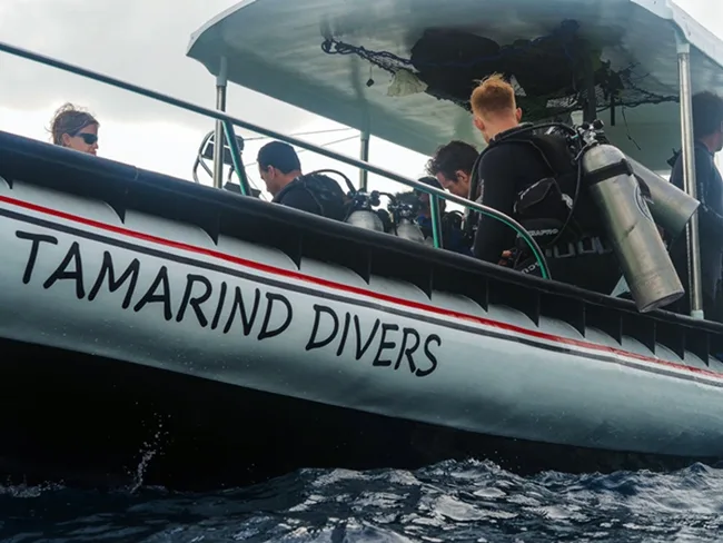 Plongeurs préparant leur matériel à bord d'un bateau semi-rigide en mer