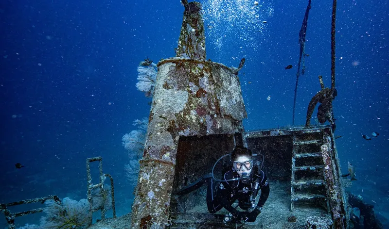 Plongeur explore une épave métallique colonisée par la vie marine