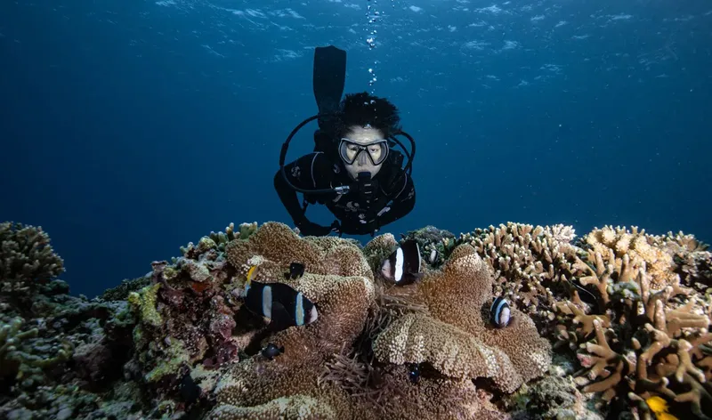 Plongeuse observant des poissons clowns dans un récif corallien coloré
