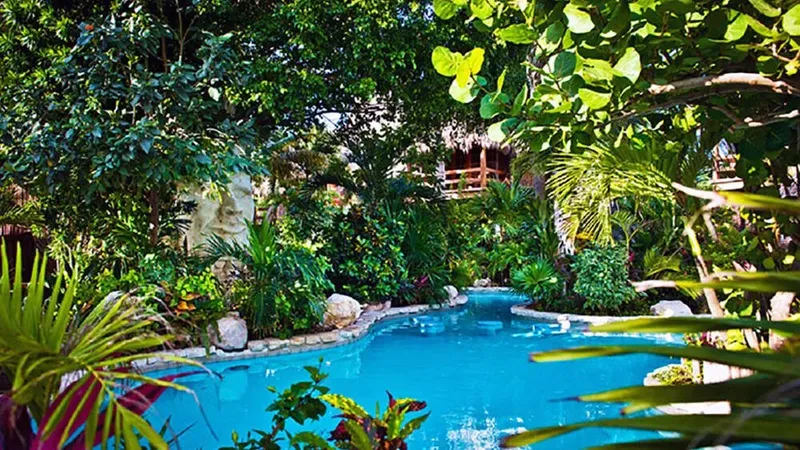 Piscine tropicale entourée de végétation luxuriante et d'une statue maya