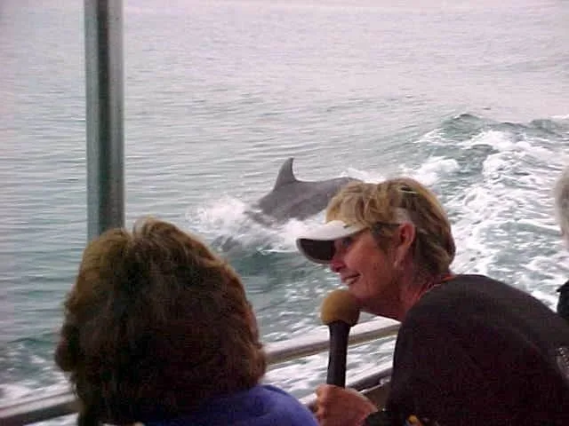 Personnes à bord d'un bateau observent un dauphin sautant