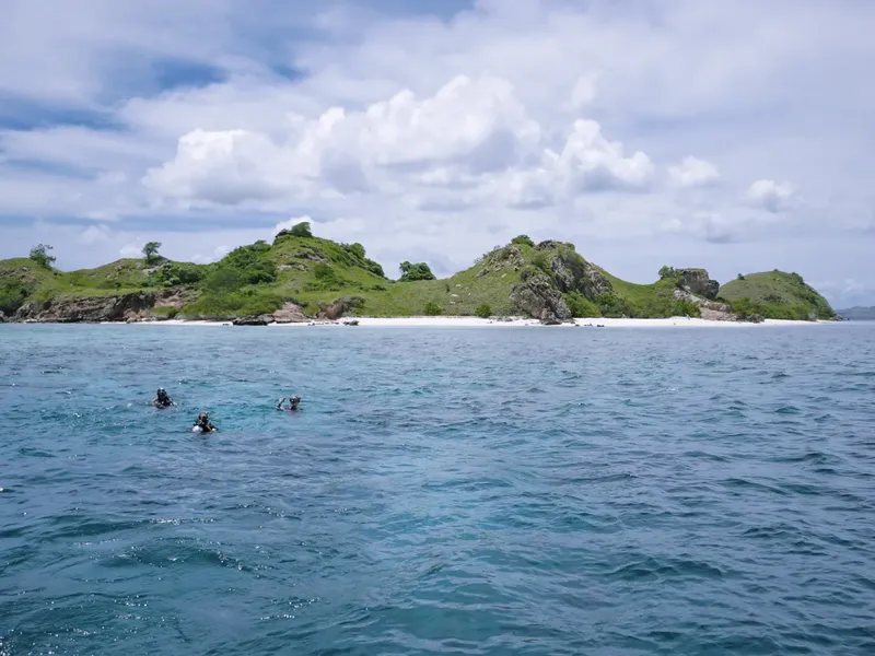 Plongée en mer avec des nageurs devant une île tropicale