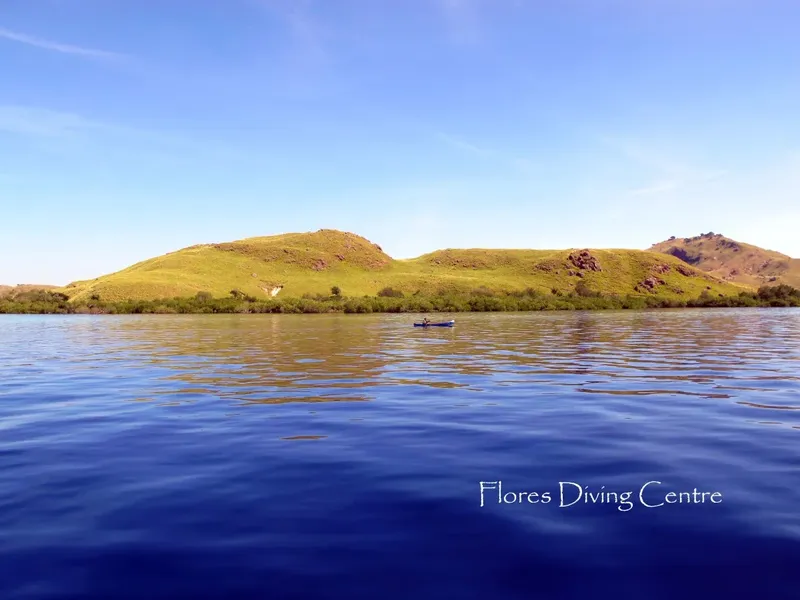 Paysage marin avec une petite embarcation et des collines verdoyantes