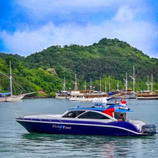 Bateau de plongée bleu et rouge amarré dans une baie tropicale