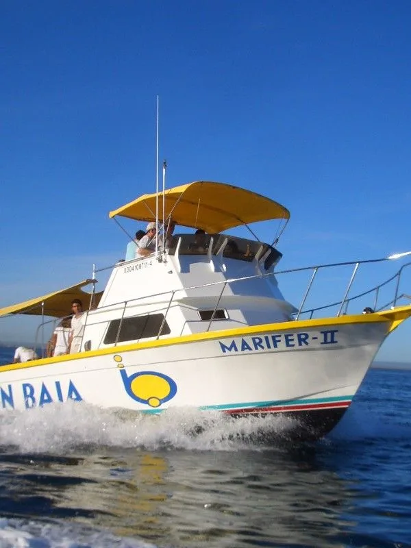 Bateau de plongée jaune et blanc navigue sur une mer bleue claire