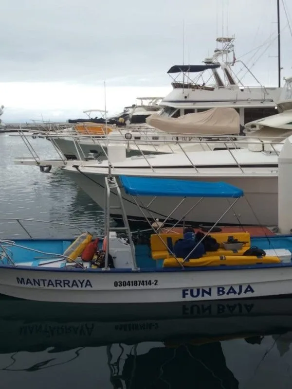 Plusieurs bateaux amarrés dans un port, avec des gilets de sauvetage