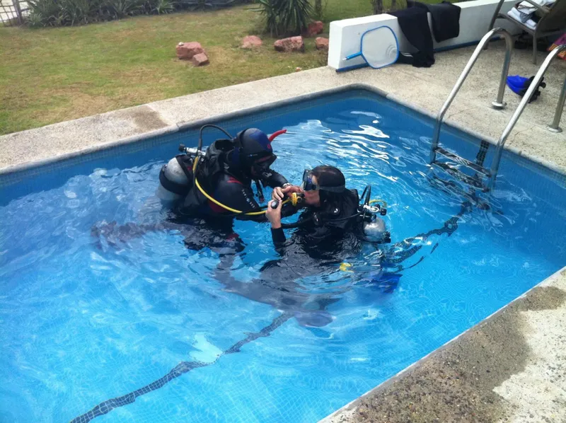 Deux plongeurs en formation dans une piscine, vérification du matériel