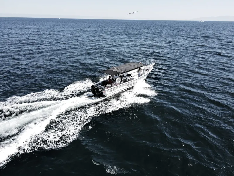 Bateau semi-rigide navigue sur une mer bleue avec quelques passagers