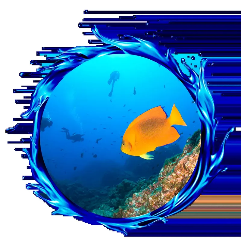 Poisson orange nageant dans un récif corallien, plongeur en arrière-plan
