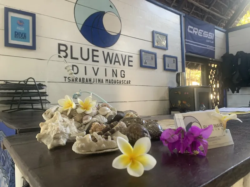 Comptoir d'accueil décoré de coquillages et fleurs devant l'enseigne Blue Wave Diving