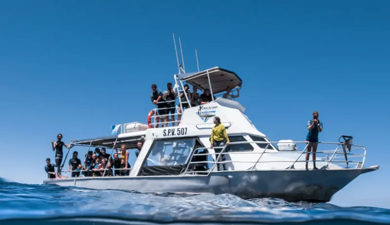 Groupe de plongeurs sur un bateau en mer, préparation plongée