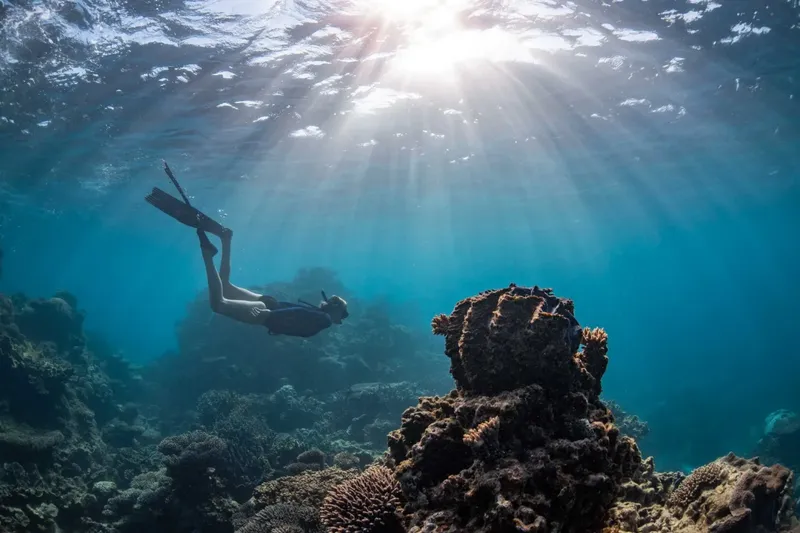 Apnea, nageuse en immersion au-dessus d'un récif corallien ensoleillé