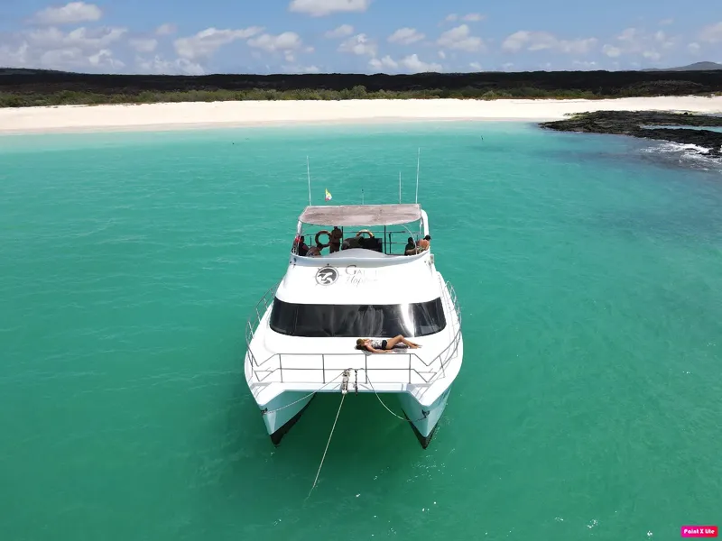 Catamaran blanc en mer turquoise avec des personnes à bord
