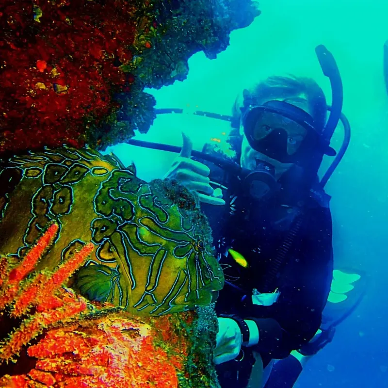 Plongeur observant un poisson-scorpion coloré sur un récif corallien
