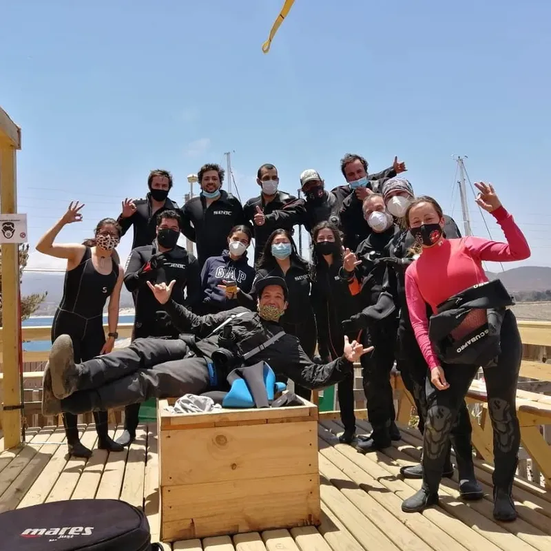 Groupe de plongeurs souriants sur un ponton en bois ensoleillé
