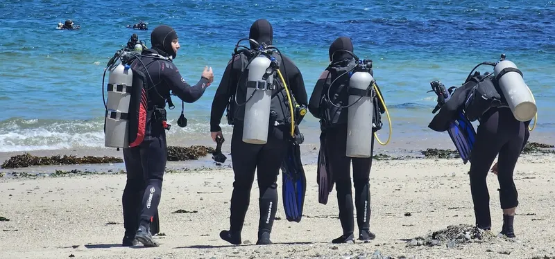 Plongeurs en combinaison sur une plage ensoleillée préparant une sortie