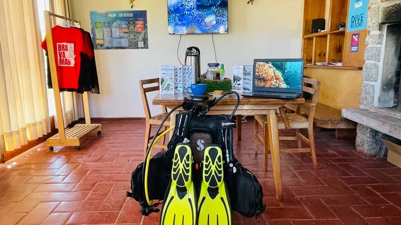 Equipement de plongée, ordinateur portable et t-shirts dans un espace intérieur