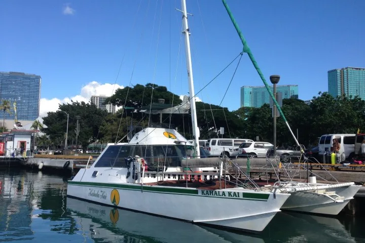 Catamaran amarré dans un port ensoleillé avec des véhicules à quai