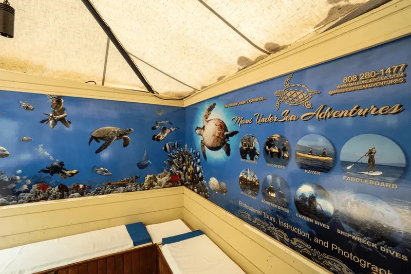 Mur peint avec des animaux marins et offres d'activités nautiques