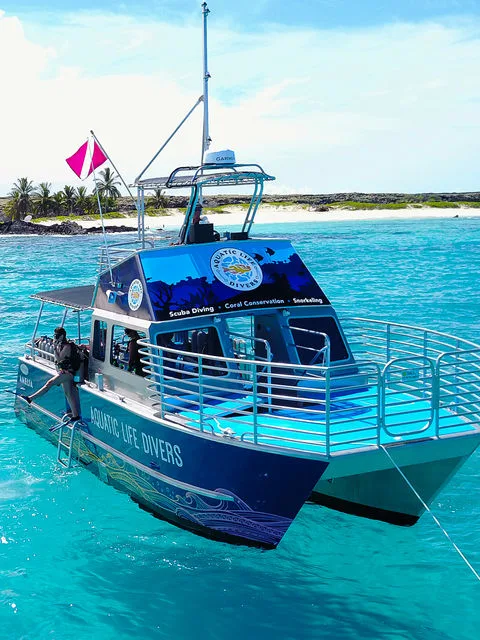 Bateau de plongée bleu et blanc amarré dans une eau turquoise claire