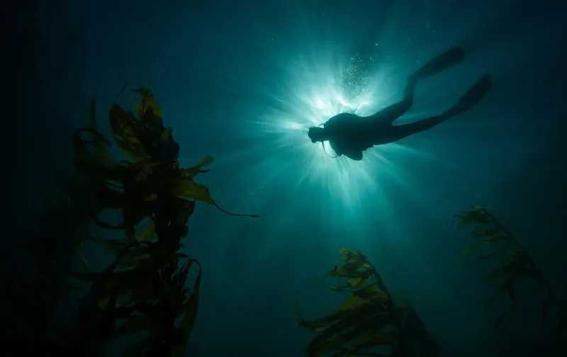 Plongeur silhouette sombre explorant les profondeurs bleues avec des rayons de lumière
