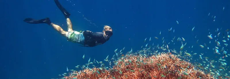 Plongeur nageant au-dessus d'un récif corallien peuplé de poissons colorés
