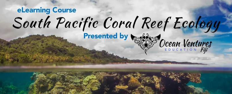 Récif corallien luxuriant sous la surface avec une île tropicale