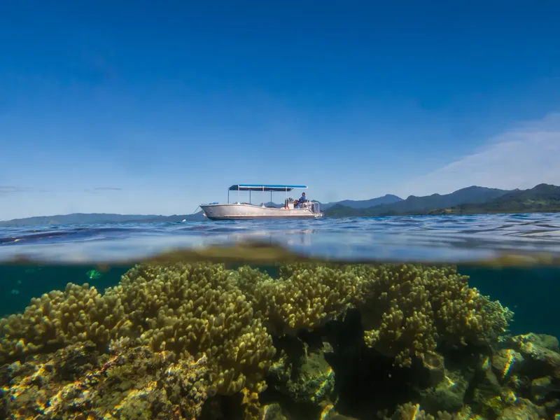 Bateau de plongée au-dessus d'un récifal corallien luxuriant et coloré