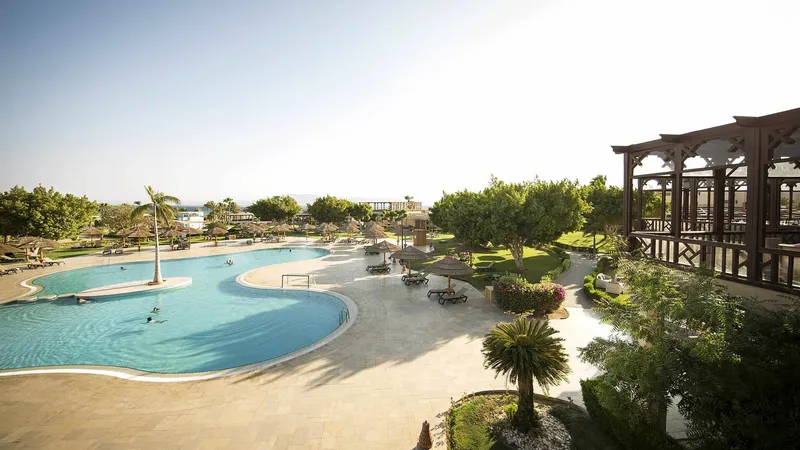 Piscine d'un complexe hôtelier avec des transats et végétation luxuriante