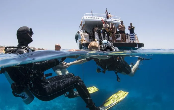 Plongeurs en binôme explorent les fonds marins sous un bateau de croisière
