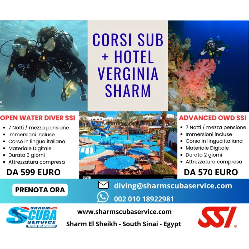 Plongeurs sous-marins, informations sur des cours de plongée et un hôtel