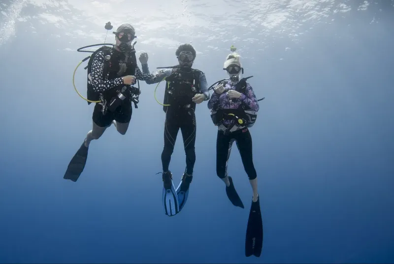 Trois plongeurs en combinaison flottent dans l'eau bleue claire
