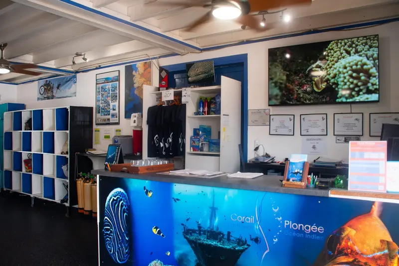 Intérieur d'un centre de plongée avec comptoir, matériel et affiches marines
