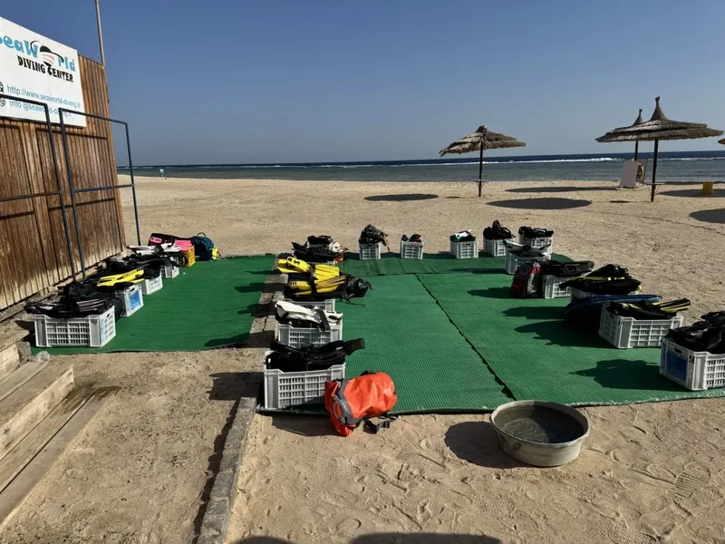 Équipement de plongée aligné sur une surface verte près d'une plage