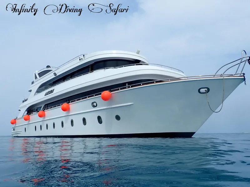 Grand bateau de croisière blanc sur une mer calme et bleue
