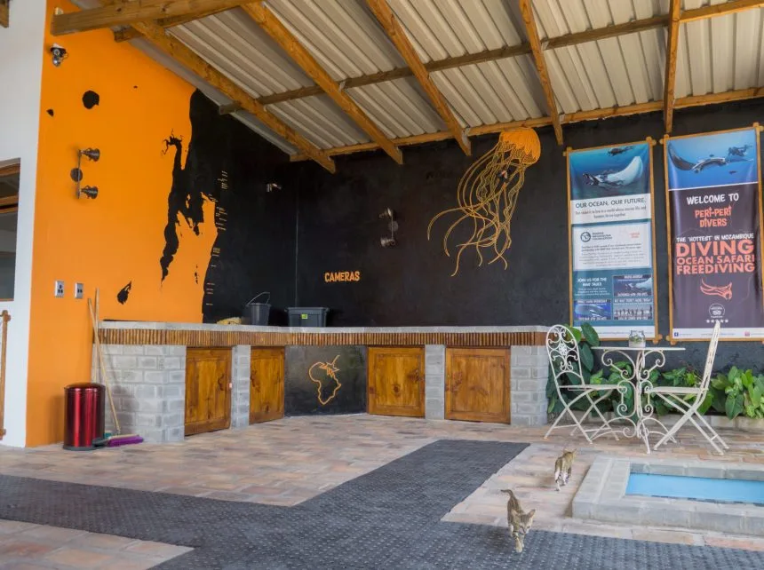 Intérieur d'un centre de plongée avec comptoir, décoration marine et affiches